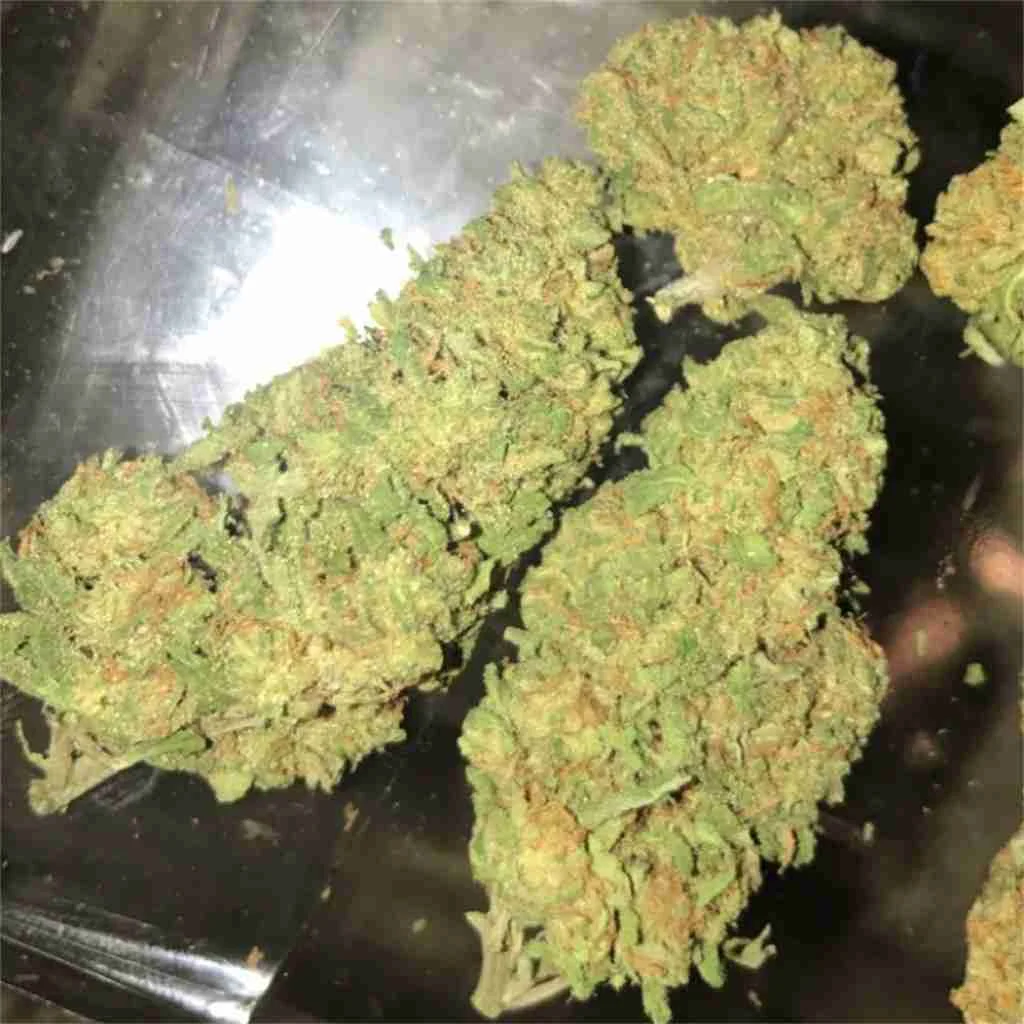 Blue Dream