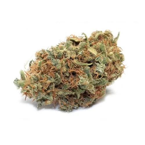 Bubble Gum