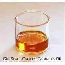 Buy Girl Scout Cookies Cannabis Oil , PRICE PER ml!