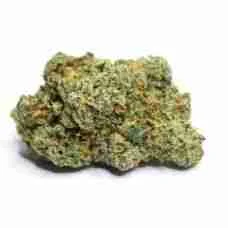Gelato 35 / Oz