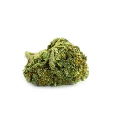 Grape God Strain