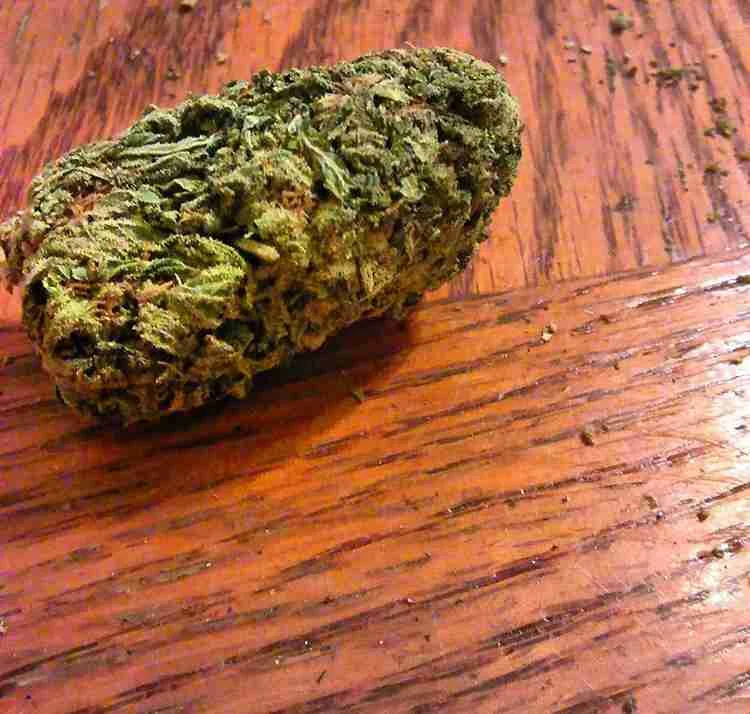 Hawaiian Kush thumbnail 2