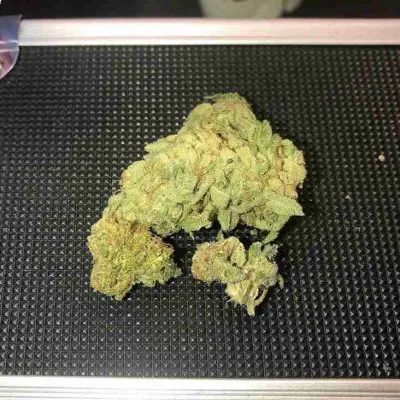 Northern Lights Kush