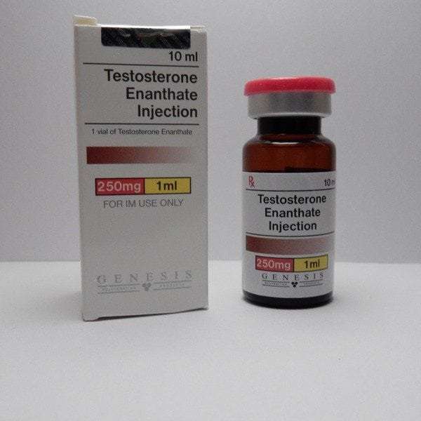 Testosterone thumbnail 41