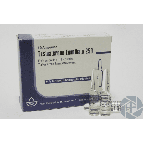 Testosterone thumbnail 51