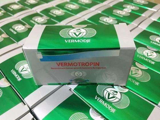 Vermotropin 100IU (10IUx10 Vials Kit) HGH
